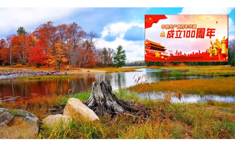 畫(huà)中畫(huà)效果